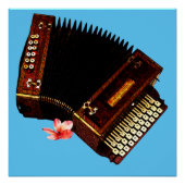 Accordion en Plumeria - Muziekinstrument Perfect Poster (Voorkant)