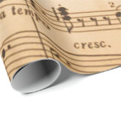 Accordion Music, populair design, Cadeaupapier (Rol Hoek)