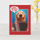 Accordion-Plays Golden Retriever Birthday Kaart (Gele Bloem)