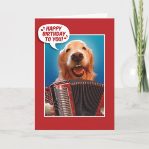 Accordion-Plays Golden Retriever Birthday Kaart