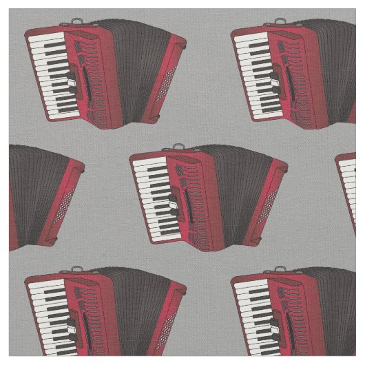 Accordions Musician Gray Stof (Close Up)
