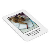 Accountant Kat Magnet Magneet (Rechterzijde)