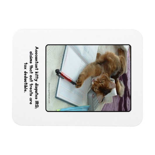 Accountant Kat Magnet Magneet (Horizontaal)