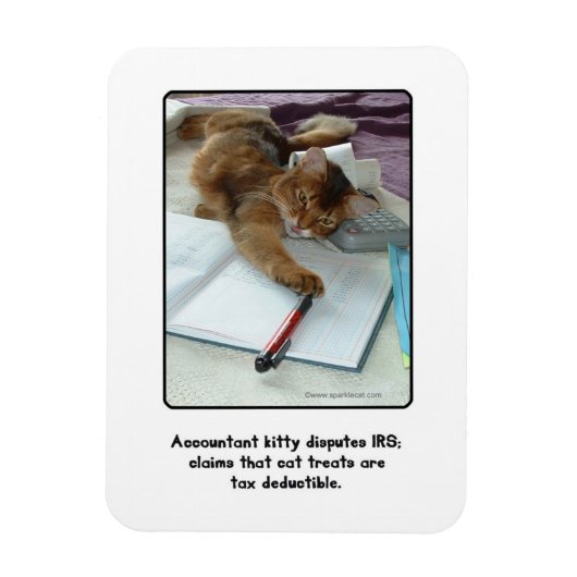 Accountant Kat Magnet Magneet (Verticaal)