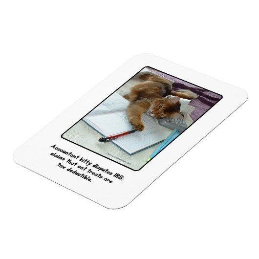 Accountant Kat Magnet Magneet (Linkerzijde)