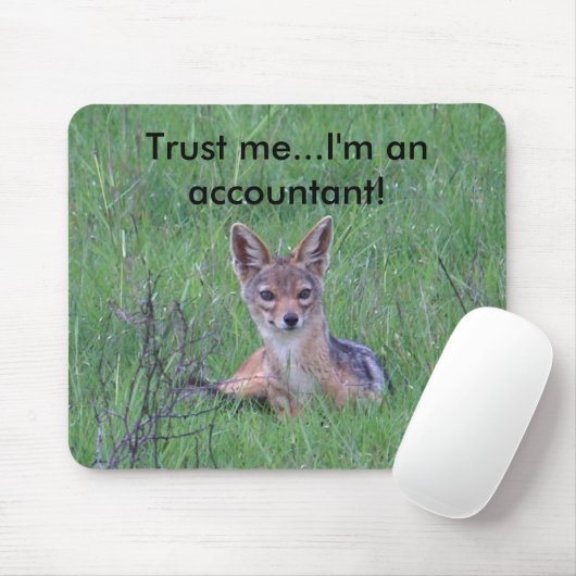 Accountant mousepad muismat (Met muis)