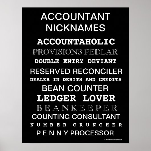 Accountant Nicknames Motivational Poster (Voorkant)
