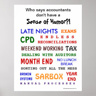 Accountant Sense of Humor Funny Motivatie Poster