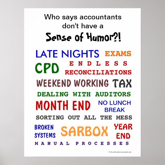 Accountant Sense of Humor Funny Motivatie Poster (Voorkant)