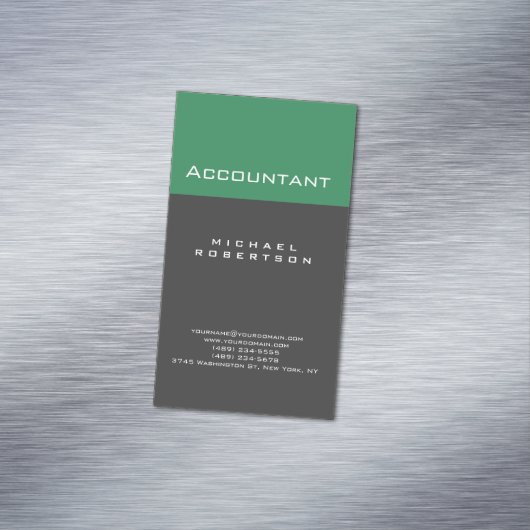 Accountant Zee Groen Grijs Chubby Visitekaartje Magnetisch Visitekaartje (Voorbeeld)