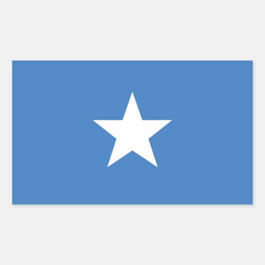 ACCURATE Bonnie Blue Flag Glossy Rectangle Sticker (Voorkant)