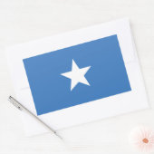 ACCURATE Bonnie Blue Flag Glossy Rectangle Sticker (Envelop)