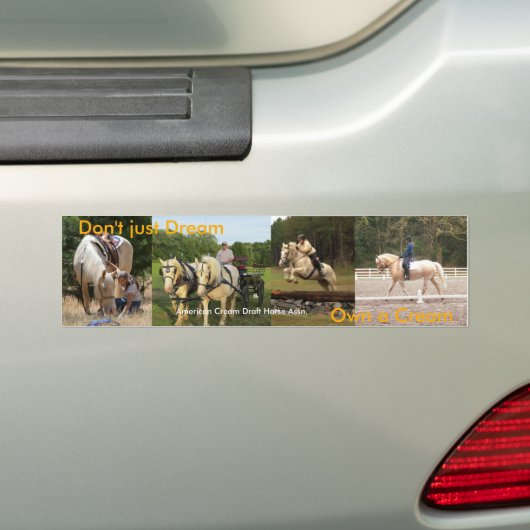 ACDHA heeft een Cream-Bumpersticker Bumpersticker (Op auto)