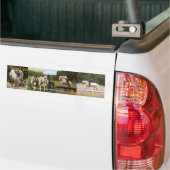 ACDHA heeft een Cream-Bumpersticker Bumpersticker (Op Truck)