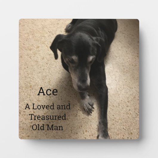 Ace, A Loved and Treasured Old Man Fotoplaat (Voorkant)