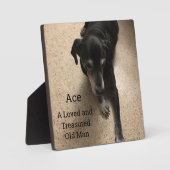 Ace, A Loved and Treasured Old Man Fotoplaat (Voorkant)