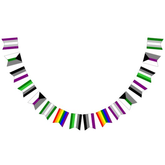 Ace/Aro Bunting Flags Vlaggetjes (Alle)