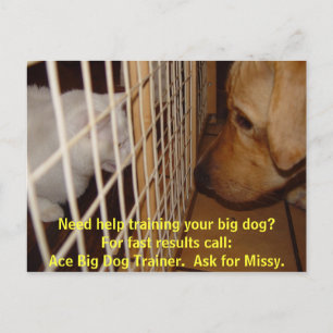 Ace Big Dog Trainer Briefkaart