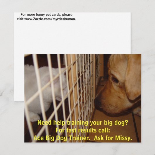 Ace Big Dog Trainer Briefkaart (Voorkant / Achterkant)