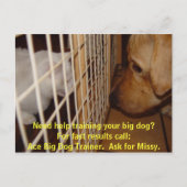 Ace Big Dog Trainer Briefkaart (Voorkant)