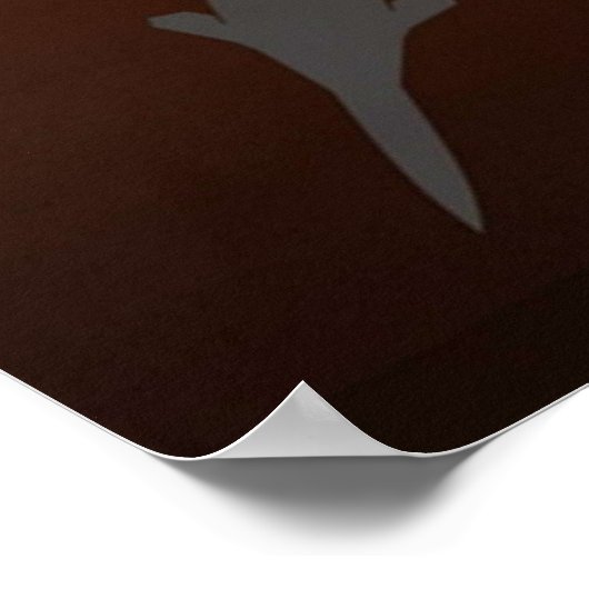 ACE Combat 0 Solo Wing Poster (Hoek)