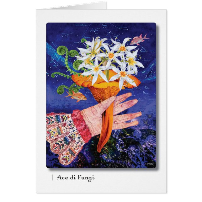 Ace di Fungi (Voorkant)
