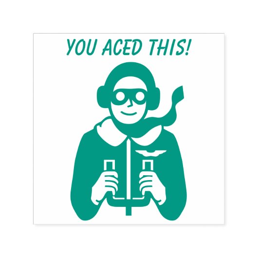 Ace Pilot Flyer Grade School Teacher A Plus Zelfinktende Stempel (Design)