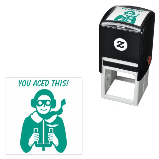 Ace Pilot Flyer Grade School Teacher A Plus Zelfinktende Stempel (In situ)