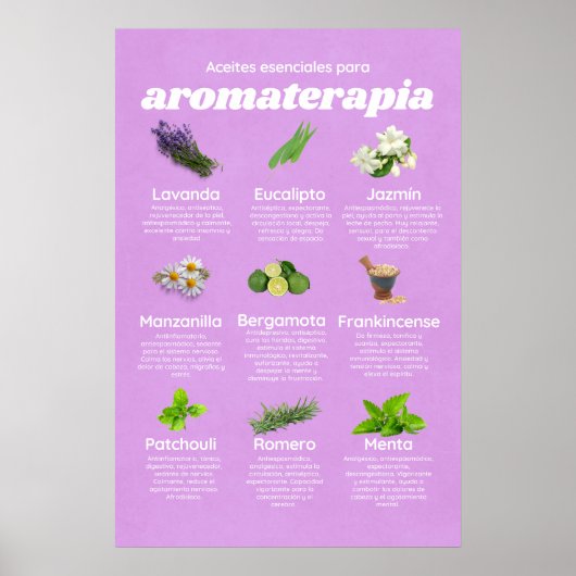 Aceites esenciales aromaterapia en español lavanda poster (Voorkant)