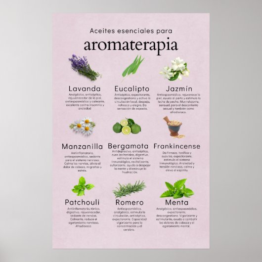 Aceites esenciales aromaterapia en español poster (Voorkant)