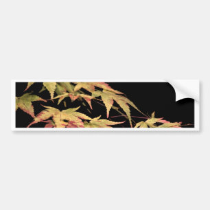 Acer Bumpersticker