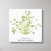 Acetabularia (Mermaid's Wineglass) Hand getekend Canvas Afdruk (Voorkant)