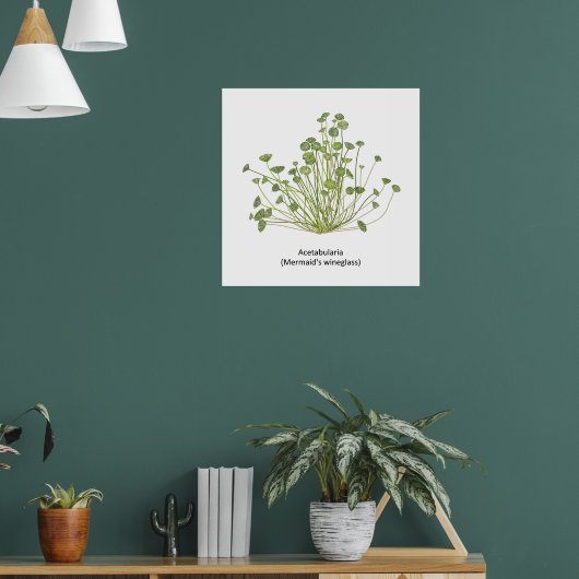 Acetabularia (Mermaid's Wineglass) Hand getekend Poster (Woonkamer 1)