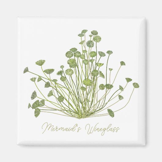 Acetabularia Seaweed Art Square Magnet (Voorkant)