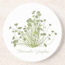 Acetabularia Seaweed Stone Onderzetter