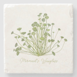 Acetabularia Seaweed Stone Onderzetter