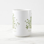 Acetabularia zeewier Art Mok (Center)