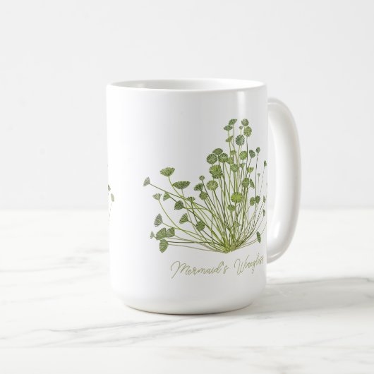 Acetabularia zeewier Art Mok (Voorkant rechts)