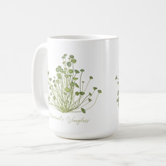 Acetabularia zeewier Art Mok (Voorkant links)