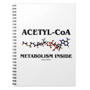 Acetyl-CoA metabolisme in de binnenkant (chemisch  Notitieboek