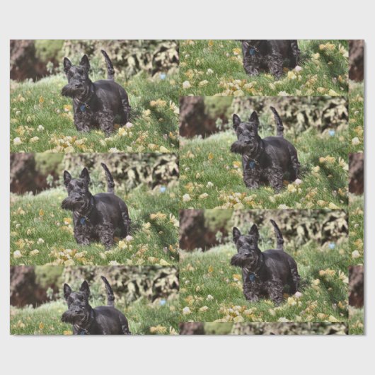 Ach! Cadeaupapier (Vlak)