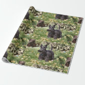 Ach! Cadeaupapier (Uitgerold)