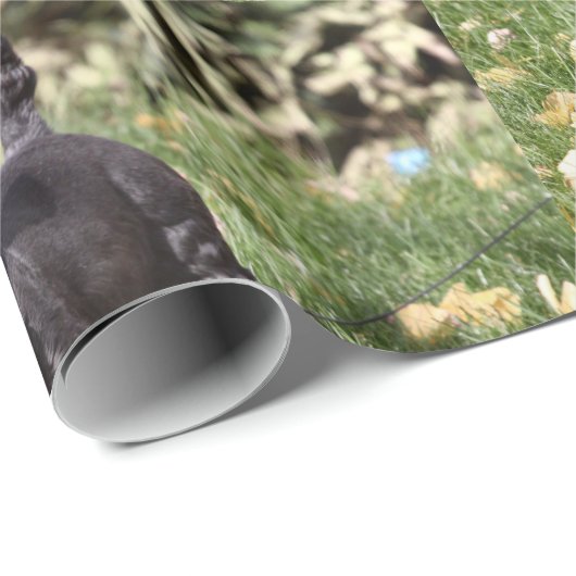 Ach! Cadeaupapier (Rol Hoek)