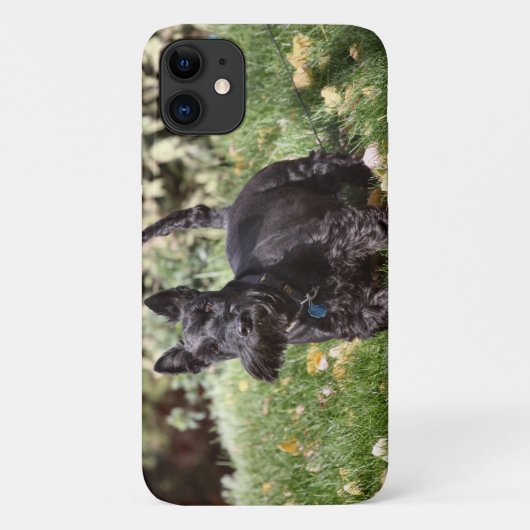 Ach Case-Mate iPhone Case (Achterkant)