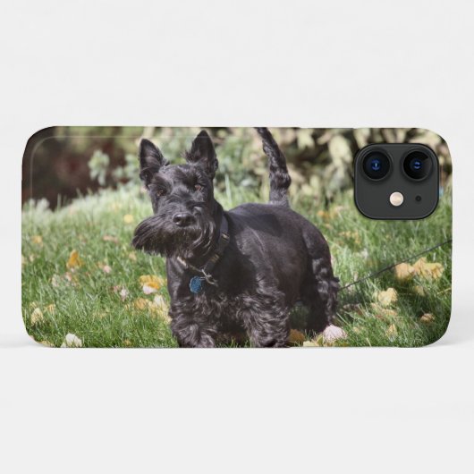 Ach Case-Mate iPhone Case (Achterkant (horizontaal))