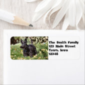 Ach! Etiket (Insitu)