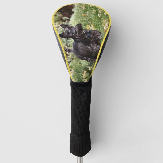 Ach Golf Head Hoesje Golfheadcover (Voorkant)