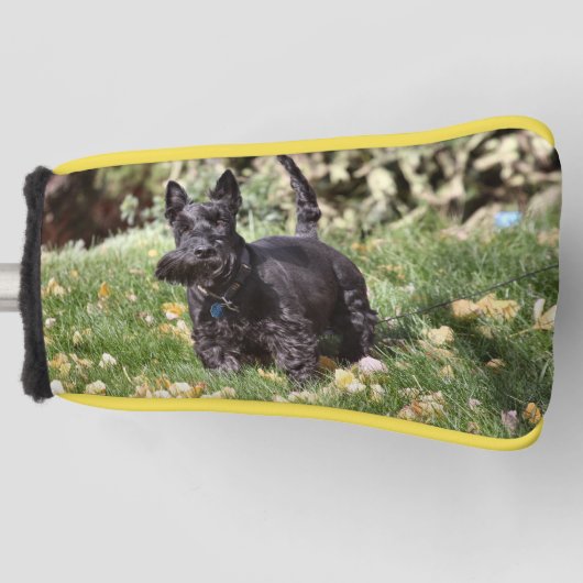 Ach Golfheadcover (Voorkant)