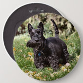 Ach Ronde Button 6,0 Cm (Voorkant /achterkant)