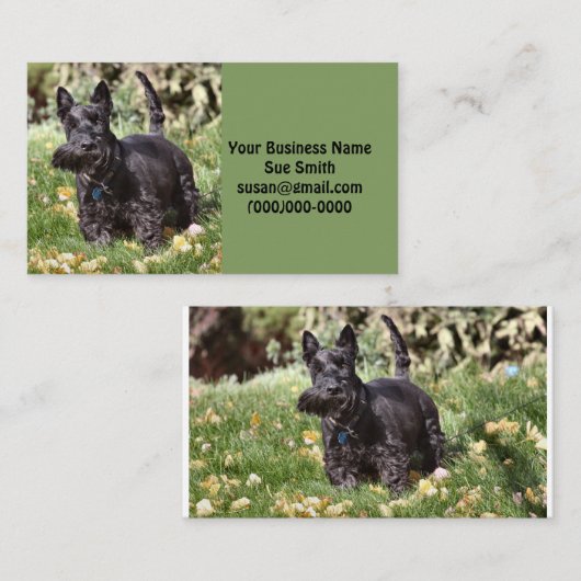 Ach Visitekaartje (Voorkant / Achterkant)